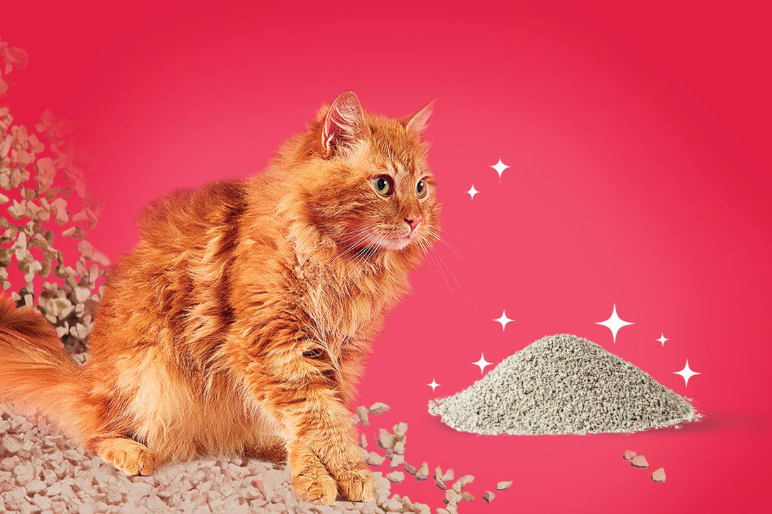 What is Attapulgite? The CATPAK